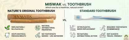 Sticks for Teeth (10-Pack) – Natural Fresh Siwak Sticks with Bamboo Holder, Travel-Friendly Organic Toothbrush Alternative for Teeth & Gums