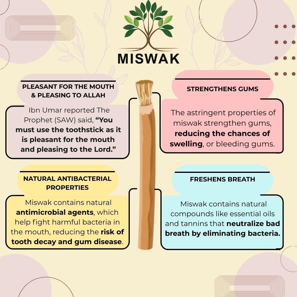 Sticks for Teeth (10-Pack) – Natural Fresh Siwak Sticks with Bamboo Holder, Travel-Friendly Organic Toothbrush Alternative for Teeth & Gums