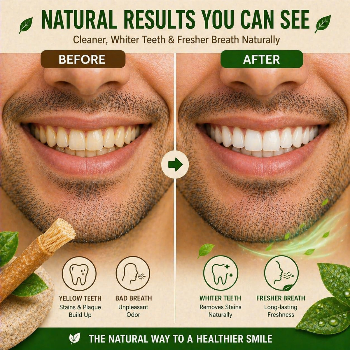 Miswak Sticks for Teeth, Natural Toothbrush, No Toothpaste Needed, Miswak Toothbrush Stick also known as Siwak Chew Sticks for Humans, Meswak, مسواك