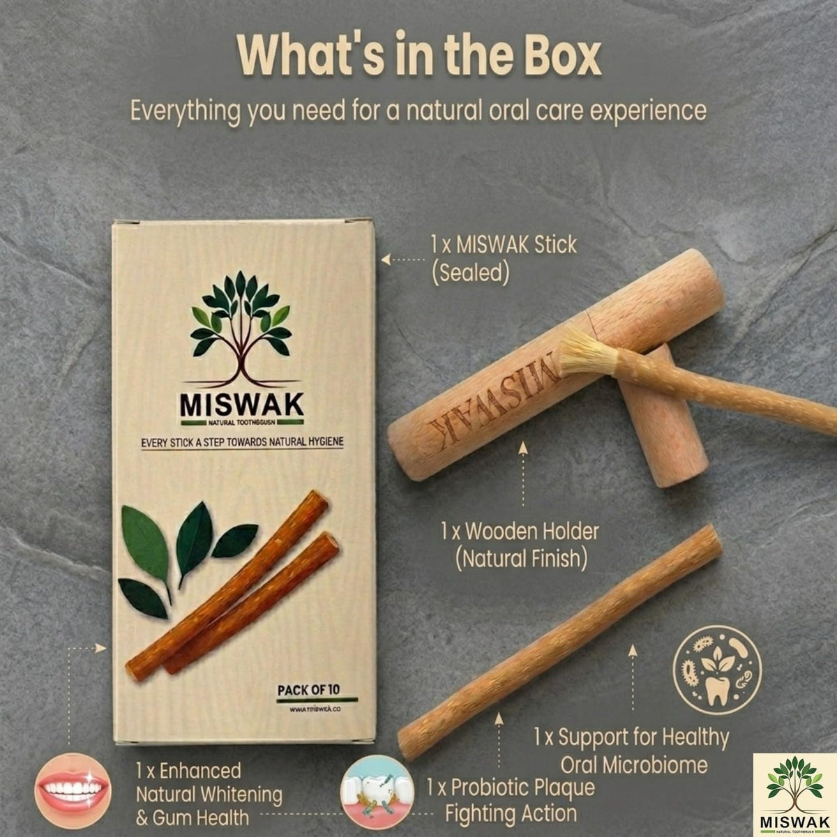 Sticks for Teeth (10-Pack) – Natural Fresh Siwak Sticks with Bamboo Holder, Travel-Friendly Organic Toothbrush Alternative for Teeth & Gums