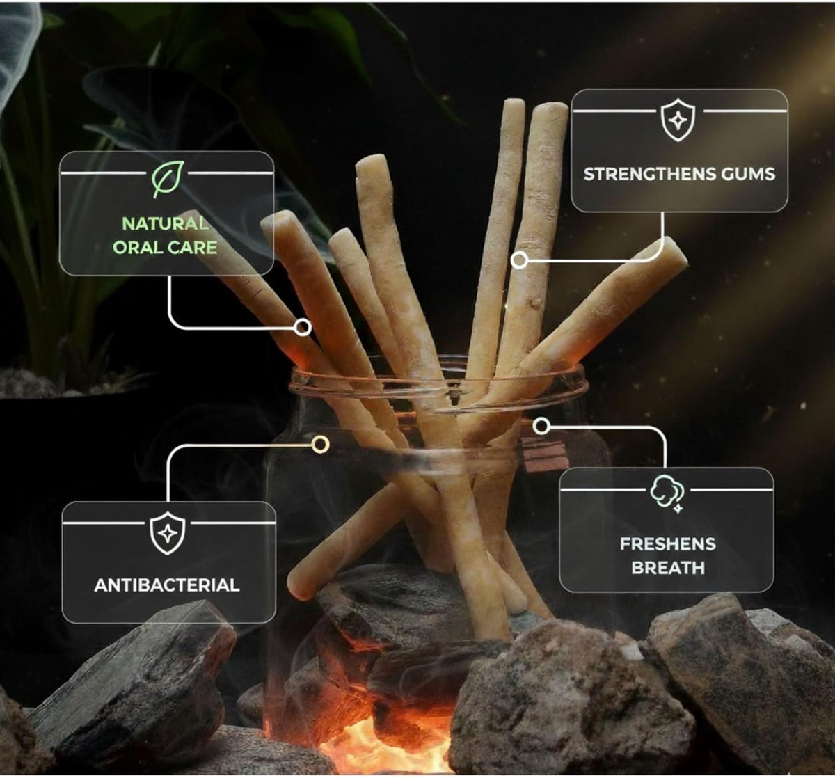 Sticks for Teeth (10-Pack) – Natural Fresh Siwak Sticks with Bamboo Holder, Travel-Friendly Organic Toothbrush Alternative for Teeth & Gums