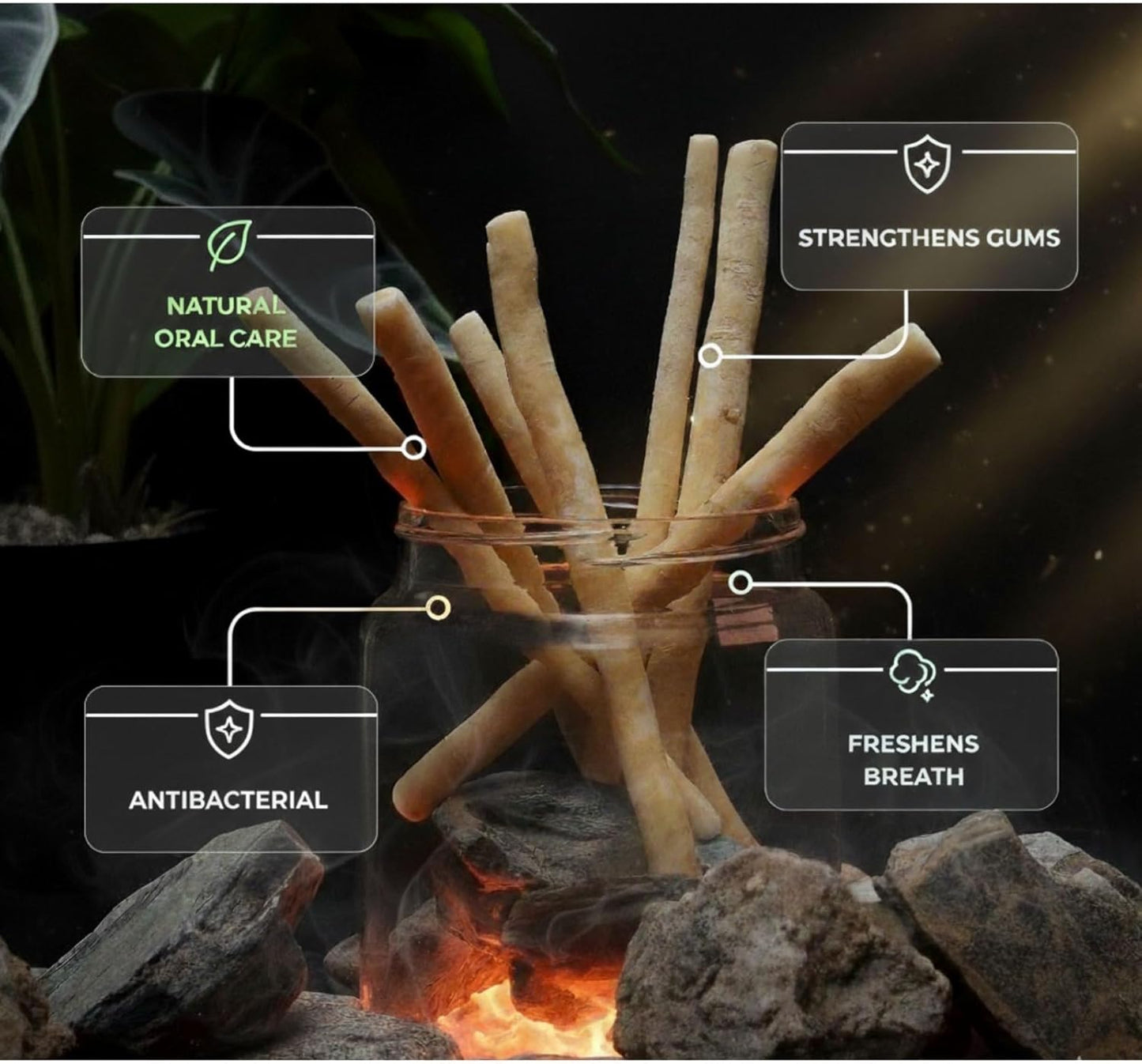 Sticks for Teeth (10-Pack) – Natural Fresh Siwak Sticks with Bamboo Holder, Travel-Friendly Organic Toothbrush Alternative for Teeth & Gums