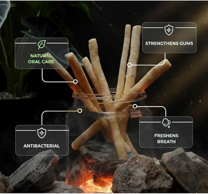 Sticks for Teeth (10-Pack) – Natural Fresh Siwak Sticks with Bamboo Holder, Travel-Friendly Organic Toothbrush Alternative for Teeth & Gums