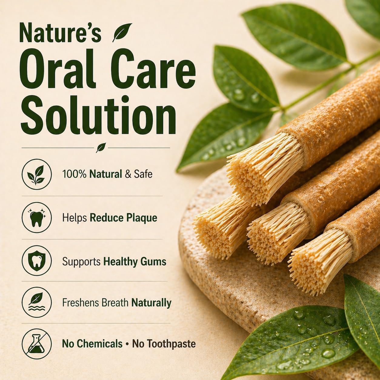 Miswak Sticks for Teeth, Natural Toothbrush, No Toothpaste Needed, Miswak Toothbrush Stick also known as Siwak Chew Sticks for Humans, Meswak, مسواك