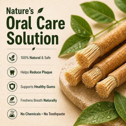Miswak Sticks for Teeth, Natural Toothbrush, No Toothpaste Needed, Miswak Toothbrush Stick also known as Siwak Chew Sticks for Humans, Meswak, مسواك
